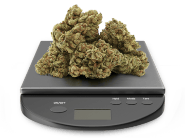 Weed Measurements - Verts Dispensary